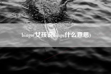 bingo(女孩说bingo什么意思)