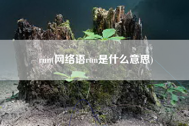 run(网络语run是什么意思)