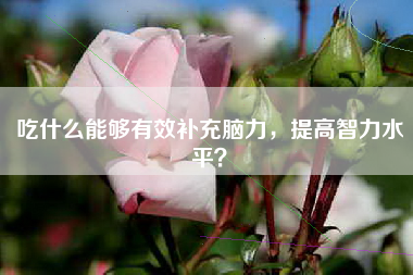 吃什么能够有效补充脑力，提高智力水平？