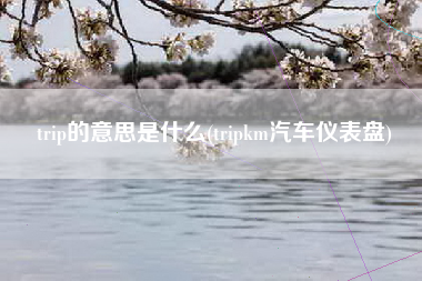 trip的意思是什么(tripkm汽车仪表盘)