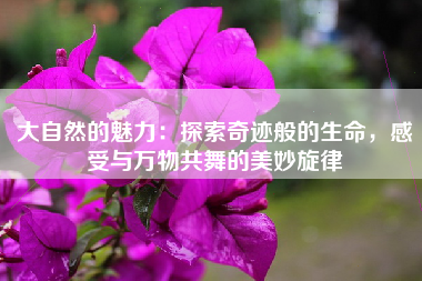 大自然的魅力：探索奇迹般的生命，感受与万物共舞的美妙旋律