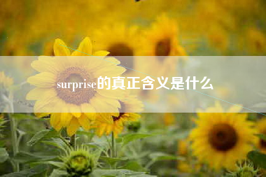 surprise的真正含义是什么