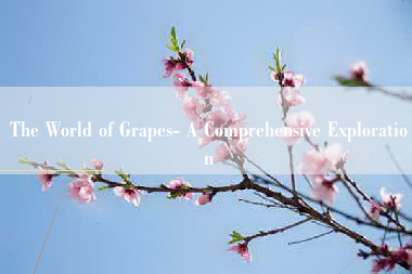 The World of Grapes- A Comprehensive Exploration