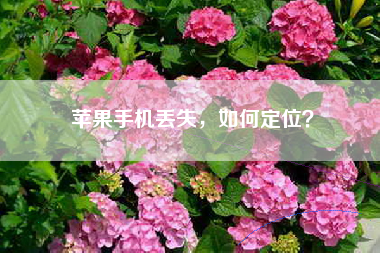 苹果手机丢失，如何定位？