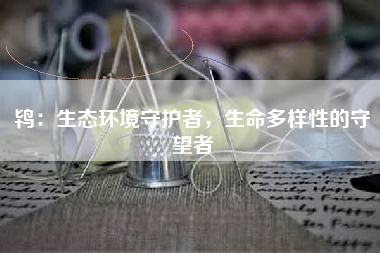 鸨：生态环境守护者，生命多样性的守望者