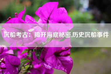 沉船考古：揭开海底秘密,历史沉船事件