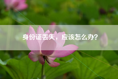 身份证丢失，应该怎么办？