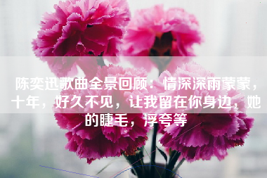 陈奕迅歌曲全景回顾：情深深雨蒙蒙，十年，好久不见，让我留在你身边，她的睫毛，浮夸等