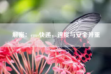 解密：ems快递，速度与安全并重