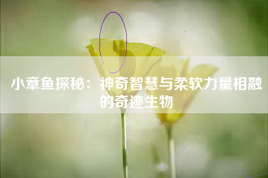 小章鱼探秘：神奇智慧与柔软力量相融的奇迹生物