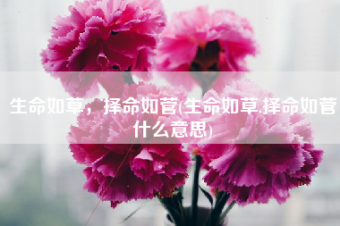 生命如草，择命如菅(生命如草,择命如菅什么意思)