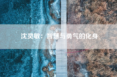 沈灵敏：智慧与勇气的化身