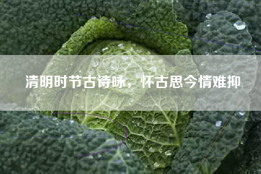 清明时节古诗咏，怀古思今情难抑