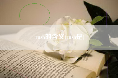 rush的含义(rush是)