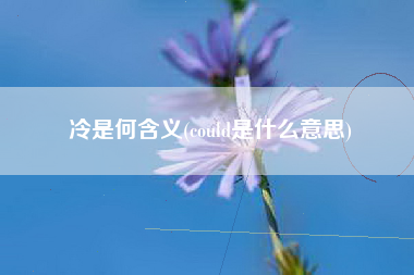 冷是何含义(could是什么意思)