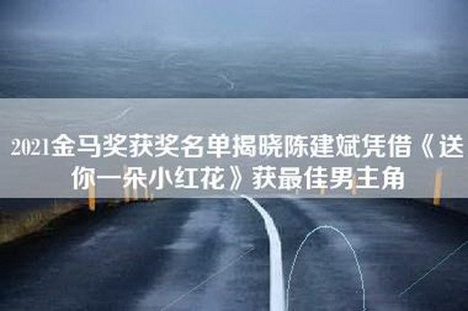 2021金马奖获奖名单揭晓陈建斌凭借《送你一朵小红花》获最佳男主角