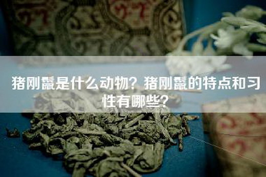 猪刚鬣是什么动物？猪刚鬣的特点和习性有哪些？