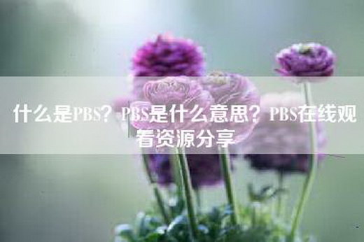 什么是PBS？PBS是什么意思？PBS-资源分享