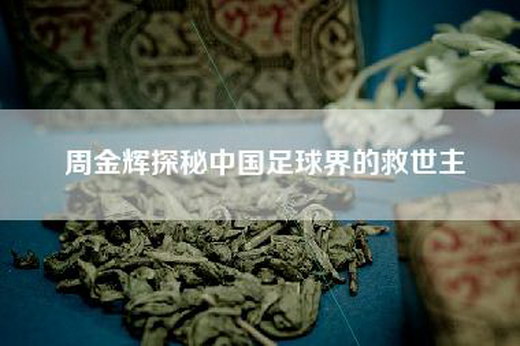 周金辉探秘中国足球界的救世主