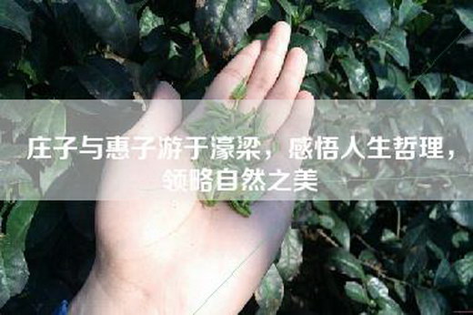 庄子与惠子游于濠梁，感悟人生哲理，领略自然之美