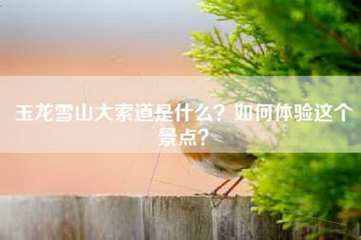 玉龙雪山大索道是什么？如何体验这个景点？