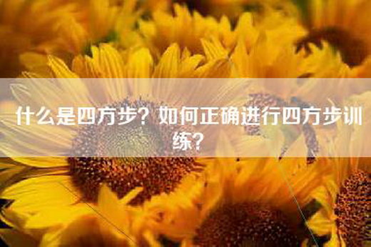 什么是四方步？如何正确进行四方步训练？