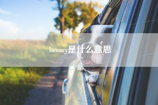 luxury是什么意思