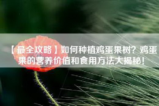 【最全攻略】如何种植鸡蛋果树？鸡蛋果的营养价值和食用方法大揭秘！