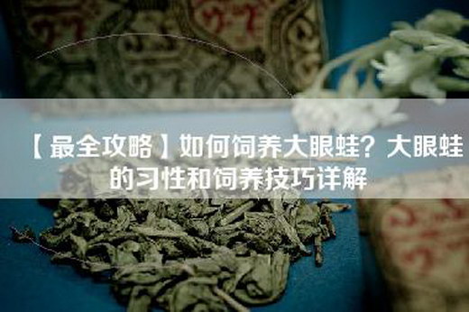 【最全攻略】如何饲养大眼蛙？大眼蛙的习性和饲养技巧详解