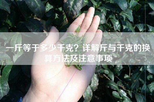 一斤等于多少千克？详解斤与千克的换算方法及注意事项