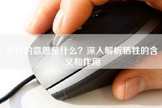 牺牲的意思是什么？深入解析牺牲的含义和作用