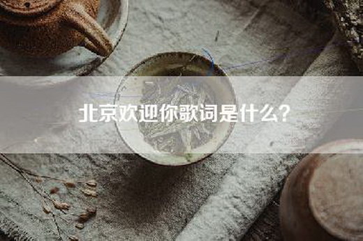 北京欢迎你歌词是什么？