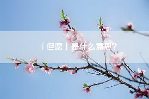 「但愿」是什么意思？