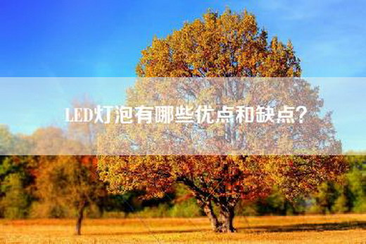 LED灯泡有哪些优点和缺点？