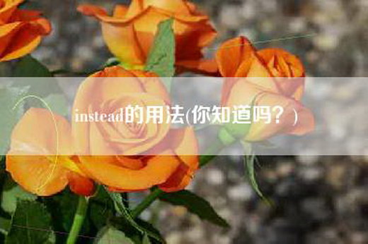 instead的用法(你知道吗？)