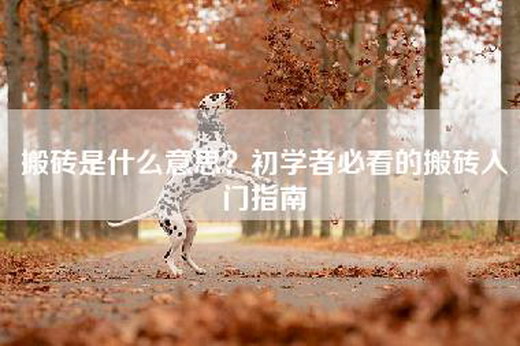 搬砖是什么意思？初学者必看的搬砖入门指南