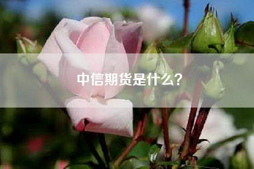 中信期货是什么？