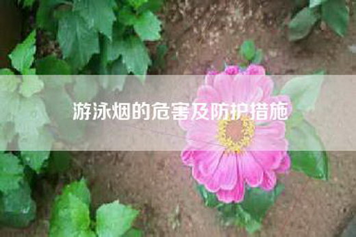 游泳烟的危害及防护措施