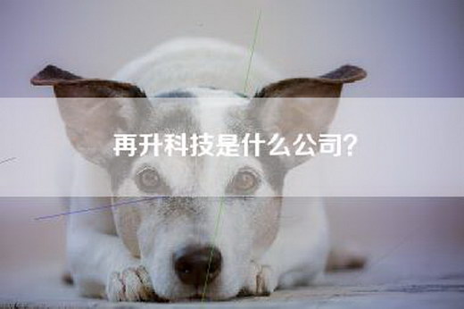 再升科技是什么公司？