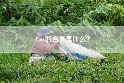 Lost的含义是什么？