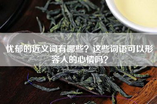 忧郁的近义词有哪些？这些词语可以形容人的心情吗？