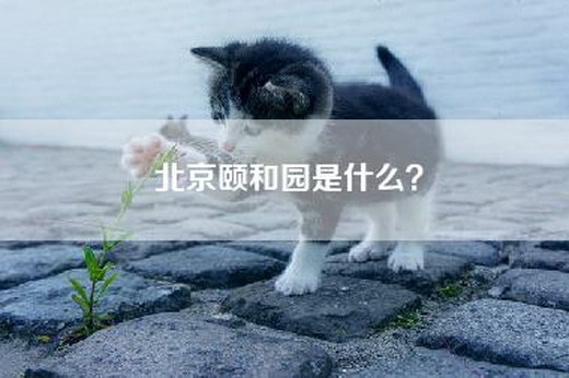 北京颐和园是什么？