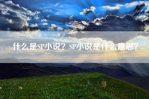 什么是SP小说？SP小说是什么意思？