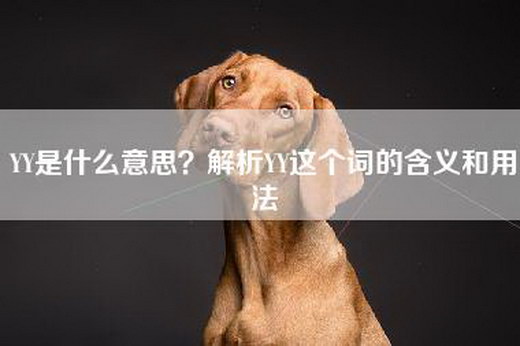 YY是什么意思？解析YY这个词的含义和用法