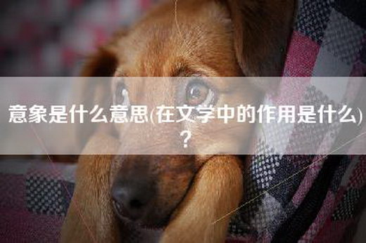 意象是什么意思(在文学中的作用是什么)？