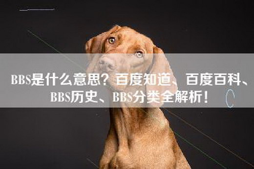 BBS是什么意思？百度知道、百度百科、BBS历史、BBS分类全解析！