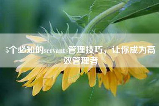 5个必知的servants管理技巧，让你成为高效管理者