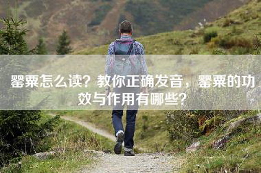 -怎么读？教你正确发音，-的功效与作用有哪些？