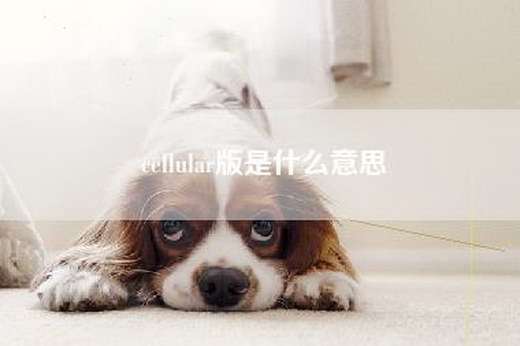 cellular版是什么意思