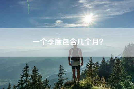 一个季度包含几个月？